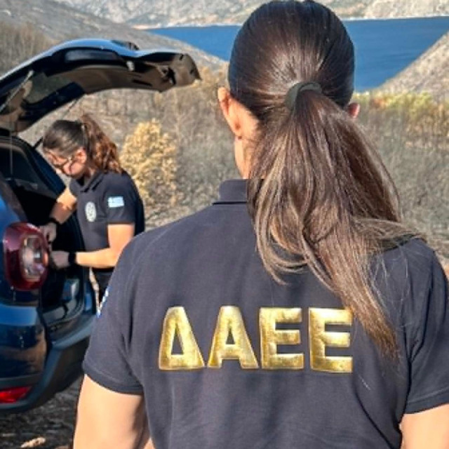 Δύο συλλήψεις σε Τρίκαλα και Κάρυστο για πυρκαγιές από πρόθεση και αμέλεια