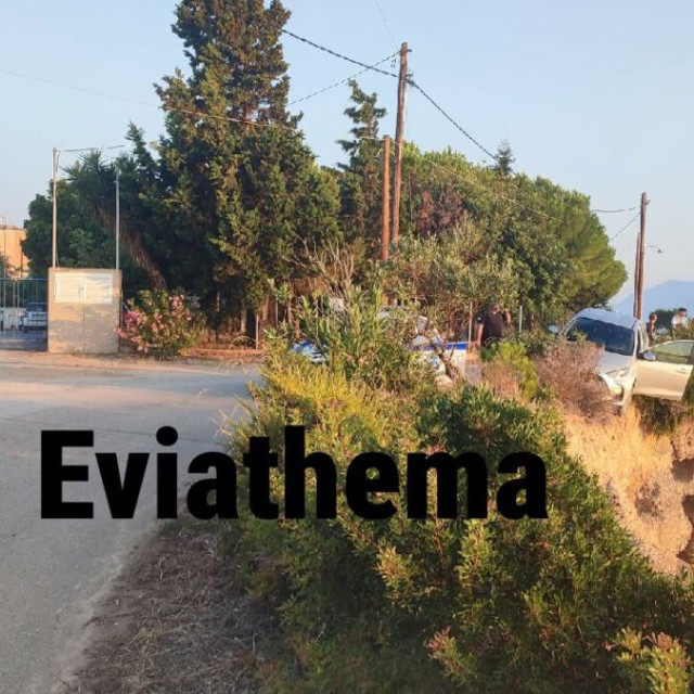 Χαλκίδα: Οδηγός έπεσε σε γκρεμό 15 μέτρων μετά από τροχαίο - Καρέ-καρέ η ανάσυρση του