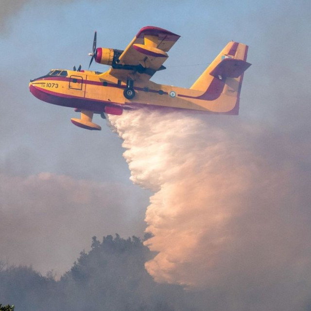 Υψηλός κίνδυνος πυρκαγιάς την Κυριακή 23 Αυγούστου - Ποιες περιοχές βρίσκονται στο «κόκκινο»