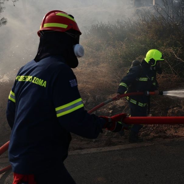 Πυρκαγιά στην Πρέβεζα - Ήχησε το 112 για επιφυλακή Νεοχώρι
