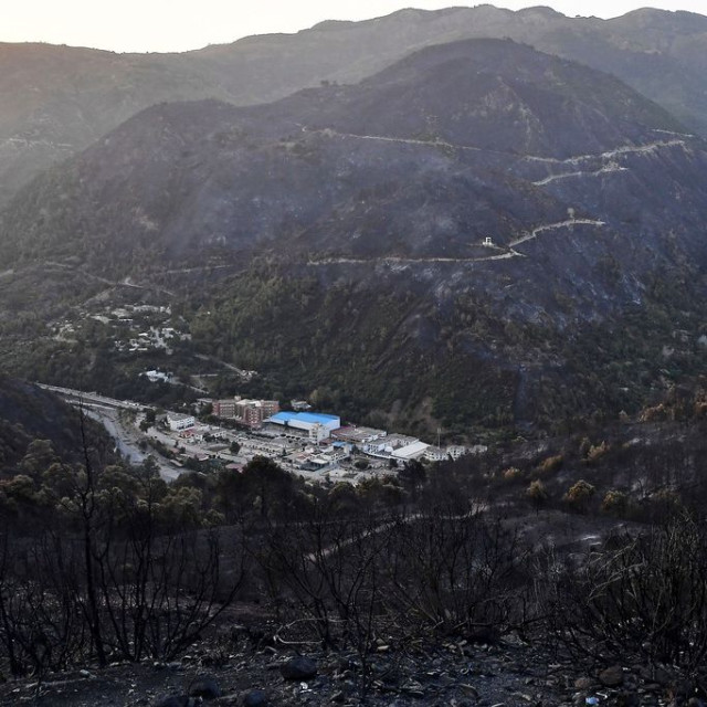 Αλγερία: Τουλάχιστον 12 νεκροί από δασικές πυρκαγιές - Ένα αγόρι 8 ετών ανάμεσά τους