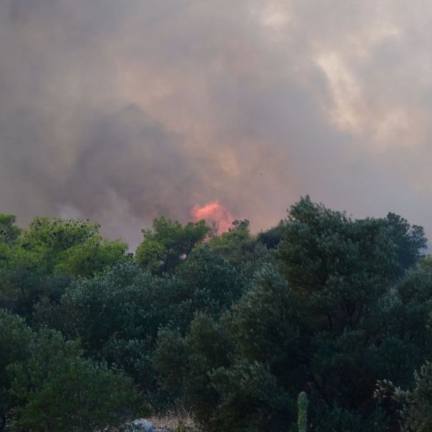 Πυρκαγιά στη Λάρισα - Καίει δασική έκταση στο Λιβάδι Ελασσόνας