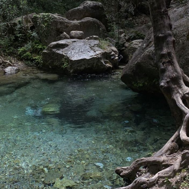 Μυστήριο με τον θάνατο της 18χρονης στην Βέροια: «Έπεσε πίσω και εξαφανίστηκε», λέει νέα μαρτυρία