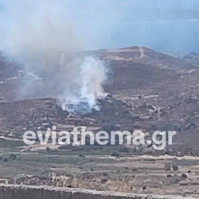 Φωτιά τώρα στην Κάρυστο - Ήχησε το 112