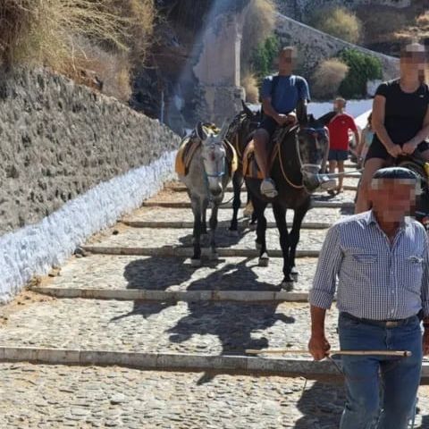 Αγριότητες στη Σαντορίνη: Επιτέθηκαν σε ακτιβίστριες που διαμαρτύρονταν για τα γαϊδουράκια