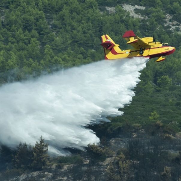 Υπό έλεγχο μέσα σε 15 λεπτά η πυρκαγιά στο Άγιο Όρος