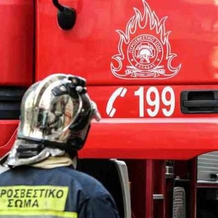 Πέλλα: Επιχείρηση διάσωσης 17χρονης από δασική περιοχή - Τραυματίστηκε στο πόδι