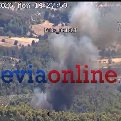 Φωτιά τώρα σε πευκόδασος στην Εύβοια:   Ήχησε 112 για ετοιμότητα  - Επιχειρούν 5 εναέρια