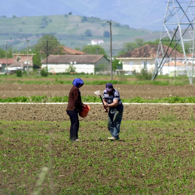 ΑΑΔΕ: Ξεκίνησε η υποβολή ενδικοφανών προσφυγών για αγροτικές ενισχύσεις του 2025
