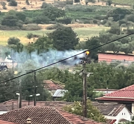 Κεραυνός χτύπησε πλάτανο κοντά σε φωλιά πελαργών στον Πλάτανο Τρικάλων
