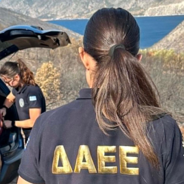 Λαγονήσι: Συνελήφθη 25χρονος αλλοδαπός για εμπρησμό από πρόθεση - Πήγε να κάψει την περιοχή