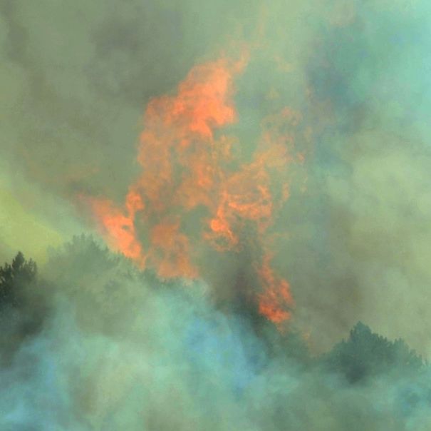 Πυρκαγιά στην Πέλλα - Καίει σε δυσπρόσιτη δασική περιοχή, επιχειρούν και 3 ελικόπτερα