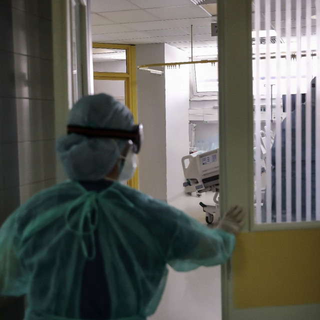 Ανακαλύφθηκε νέος κορονοϊός στη Βραζιλία: Ο HKU5-CoV-2 μεταδίδεται και στον άνθρωπο