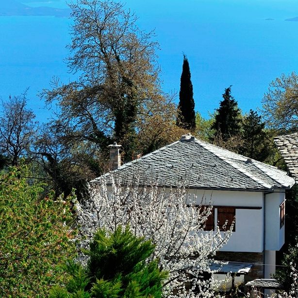 Thessaly Pass και Evros Pass 2026: Σήμερα λήγει η προθεσμία για την υποβολή αιτήσεων - Οι δικαιούχοι