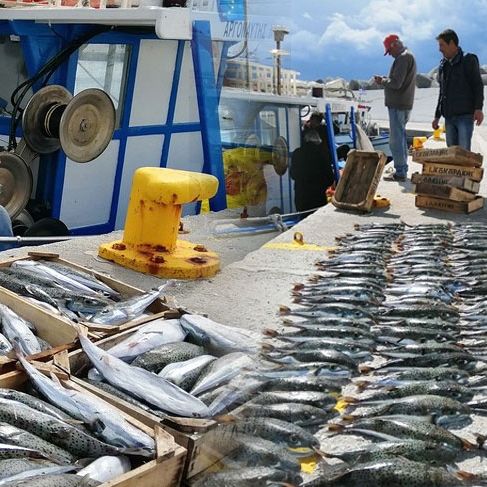 Μάγγος: Εκτός αρμοδιότητας του υπουργείου Ναυτιλίας τα βασικά αιτήματα των ψαράδων