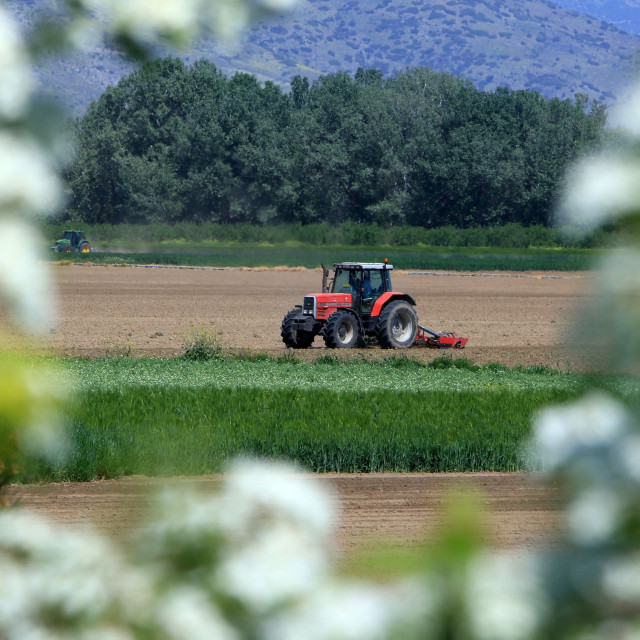 ΕΛΓΑ: Παράταση έως τις 30 Οκτωβρίου για την εξόφληση της ασφαλιστικής εισφοράς του 2025