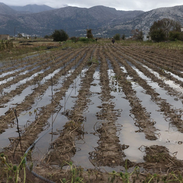 Λασίθι: Έως τις 19 Οκτωβρίου οι δηλώσεις παραγωγών για αποζημιώσεις εξαιτίας της κακοκαιρίας