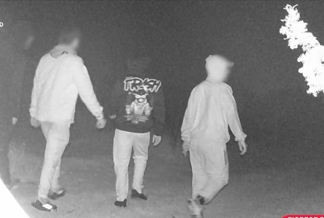 Έκλεψαν 25 χιλιόμετρα καλωδίων χαλκού στα Μεσόγεια - Στο 1 εκατομμύριο ευρώ η αξία τους
