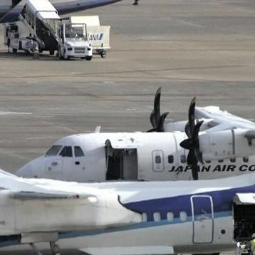 Ιαπωνία: Χάος σε πτήση - Φίδι έκανε... βόλτες στη καμπίνα