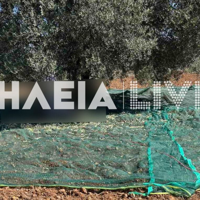 Αρχαία Ολυμπία: Νεκρός εντοπίστηκε 73χρονος στο χωριό Άσπρα Σπίτια - Μάζευε ελιές μόνος του