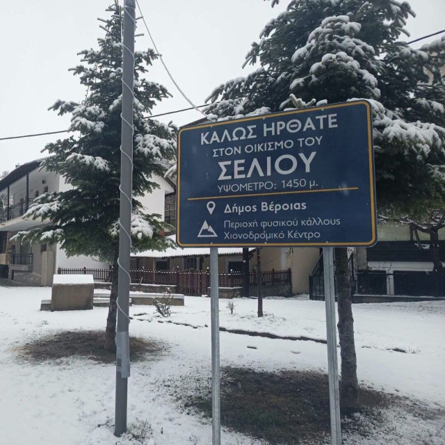 Ημαθία: Στα λευκά το Σέλι – Ειδυλλιακές εικόνες από το χιονισμένο τοπίο
