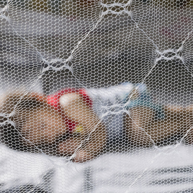 Απίστευτη απάτη με ΜΚΟ: Έκλεβαν χρήματα που προορίζονταν για παιδιά με σοβαρές ασθένειες και τα χρησιμοποιούσαν για στημένους αγώνες - Μεταξύ των δωρητών γνωστοί καλλιτέχνες, αθλητές και επιχειρηματίες