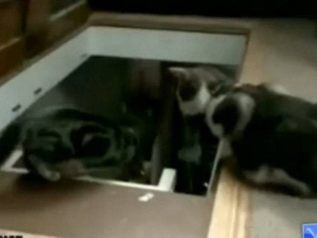 Οι καλύτερες γκάφες του Δεκεμβρίου σε ένα βίντεο!