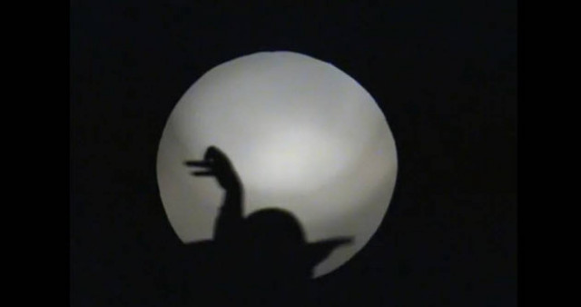 Ζώα φτιαγμένα από… σκιά