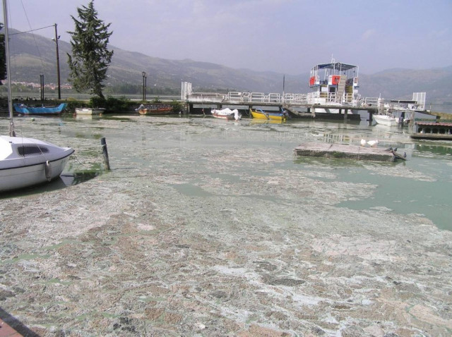 Υπό προστασία η λίμνη της Καστοριάς
