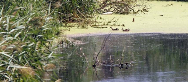 Λουκέτο για τη ρύπανση του Ασωπού
