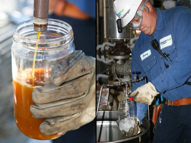 Καύσιμα… από ζωικό λίπος