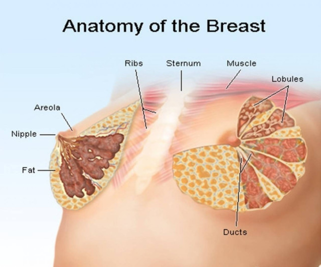 Ο καρκίνος του μαστού προλαμβάνεται
