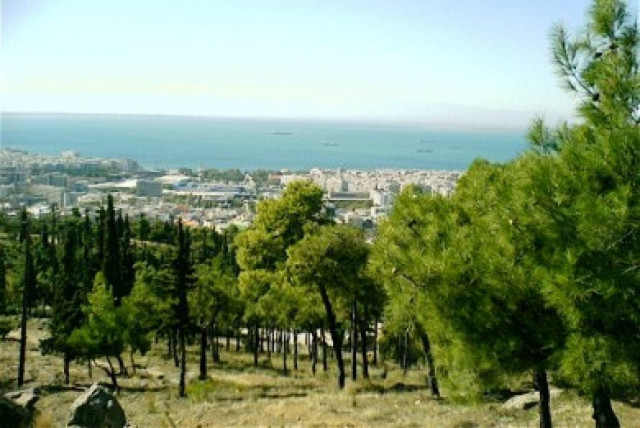 Αναγεννιέται το δάσος του Σέιχ Σου