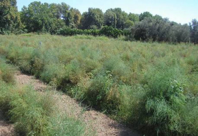 ΟΚΕ: Ενστάσεις για το ν/σ για τη βιοποικιλότητα