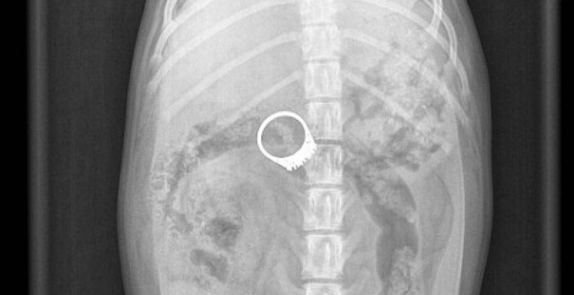 Πού’ ντο, πού’ ντο το δαχτυλίδι…