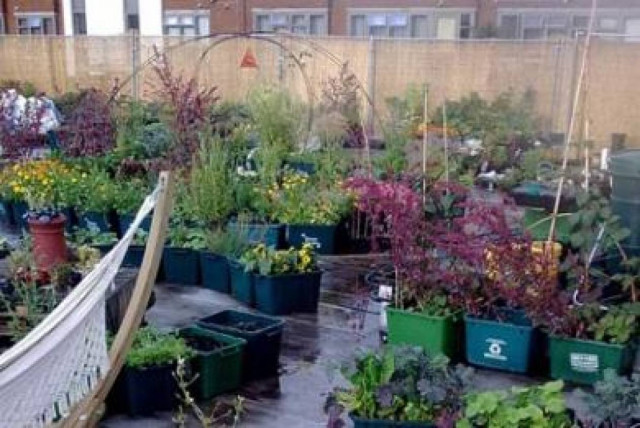 Σούπερ μάρκετ με μανάβικο στην ταράτσα