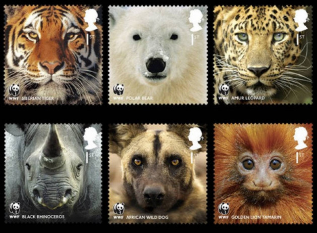 Η WWF έγινε 50!