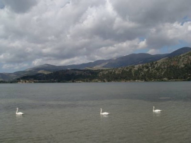 Εθελοντές προστατεύουν τους υγροτόπους της Κρήτης