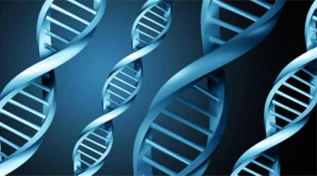 Τούρκοι παρήγαγαν  τεχνητά γονίδια