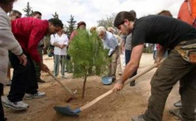 Δενδροφύτευση στην Κατερίνη