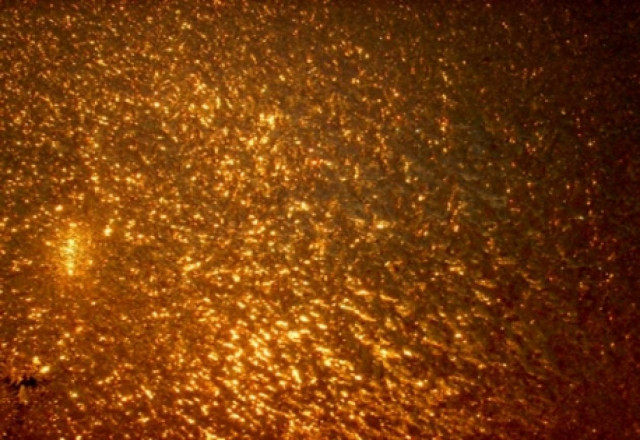 Χρυσό και ασήμι βρήκε στον ‘Αγιο Νικόλαο Κύπρου καναδική εταιρεία