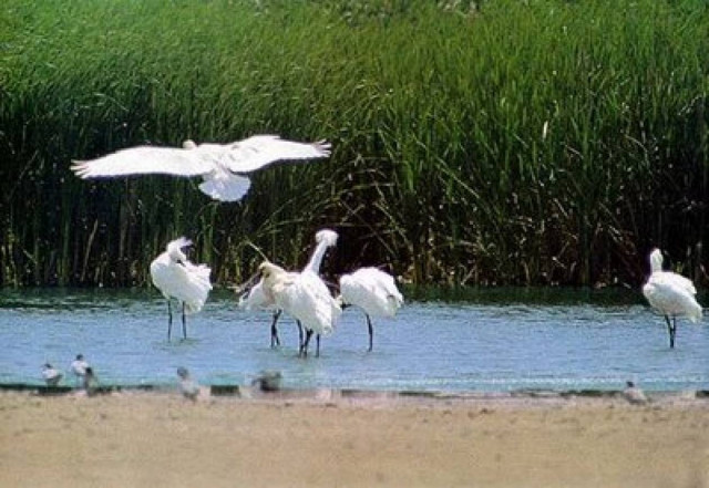 «Αποστολή νερό» για τους πολίτες της Κρήτης