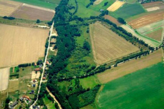 Ένα τείχος γεμάτο ζωή