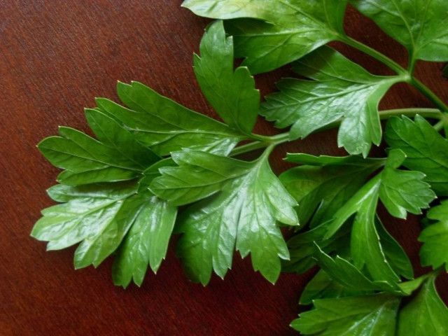 Μαϊντανός: ανεκτίμητη η θρεπτική αξία του