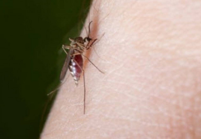 Μικροσκοπικά και επικίνδυνα