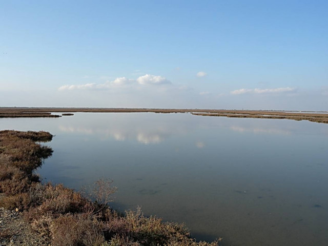 Εθελοντικός καθαρισμός στο Δέλτα Αξιού