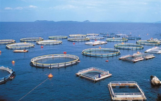 Αντιδράσεις για το σχέδιο οργάνωσης Ιχθυοκαλλιεργειών στη Λαμία