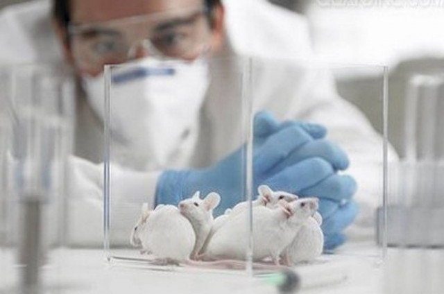 Παγκόσμια εβδομάδα κατά των πειραμάτων στα ζώα