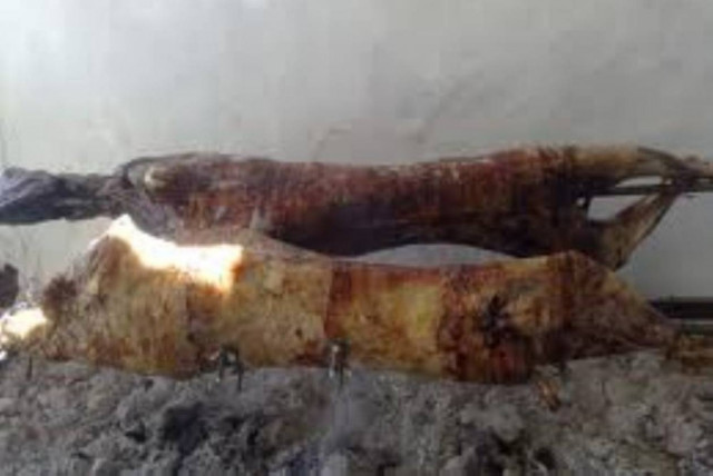 Οι  πασχαλινές λιχουδιές… με μέτρο