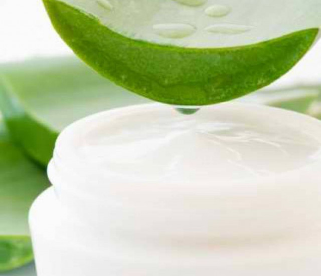 Προστατευθείτε από τα τσιμπήματα των εντόμων